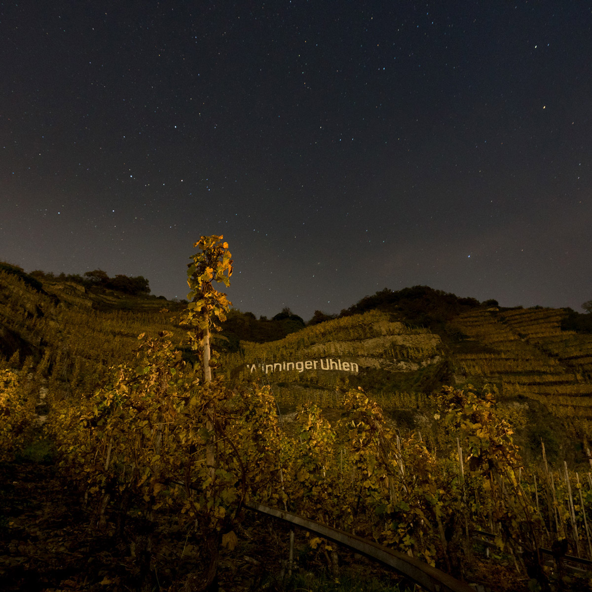 Winninger Uhlen bei Nacht